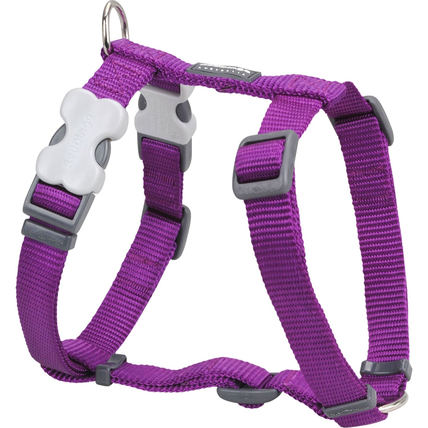 Harnais Violet réglable Red Dingo Basic