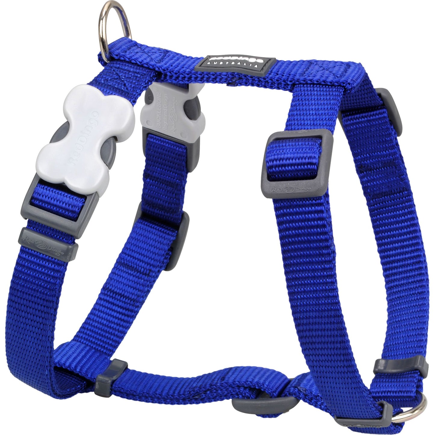 Harnais Bleu réglable Red Dingo Basic