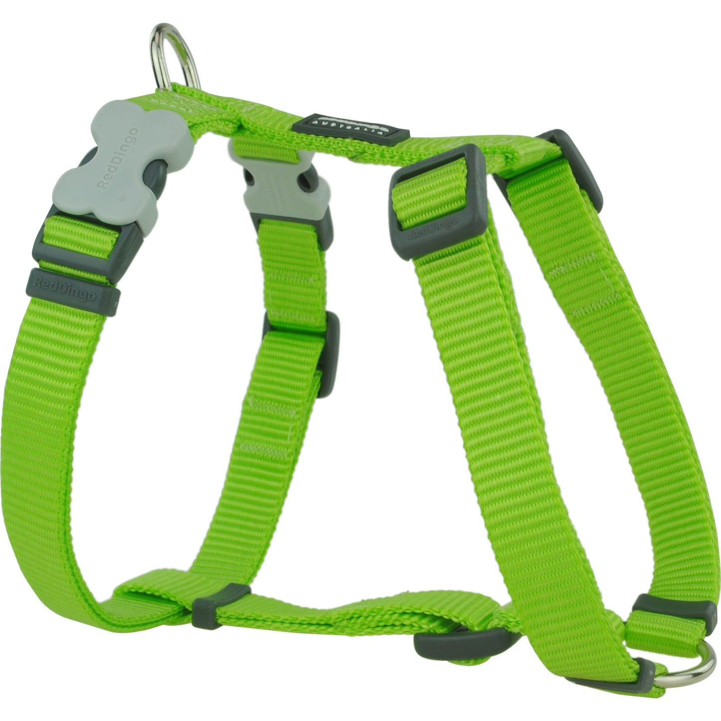 Harnais Vert réglable Red Dingo Basic