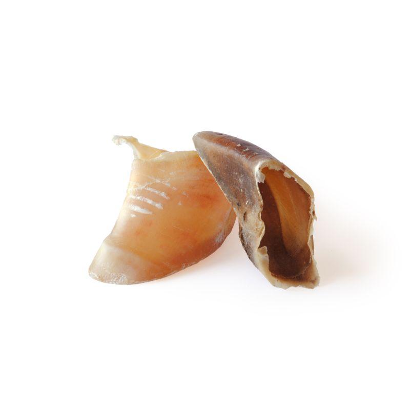 Sabot de veau