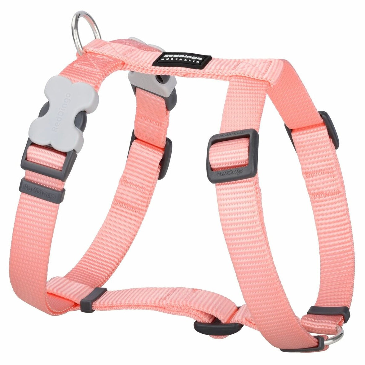 Harnais Orange Pastel réglable Red Dingo Basic