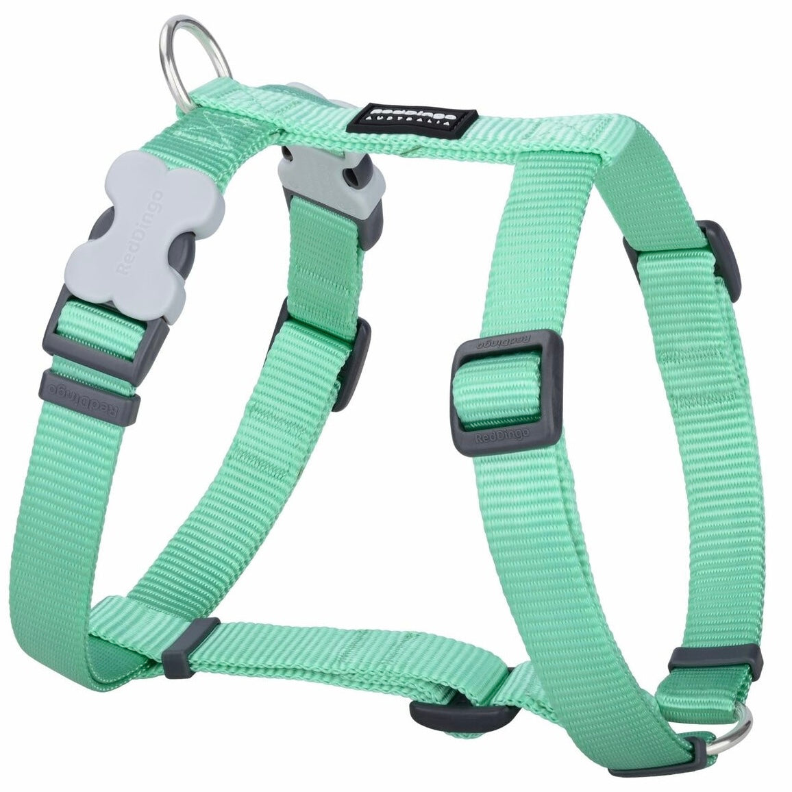 Harnais Vert Pastel réglable Red Dingo Basic