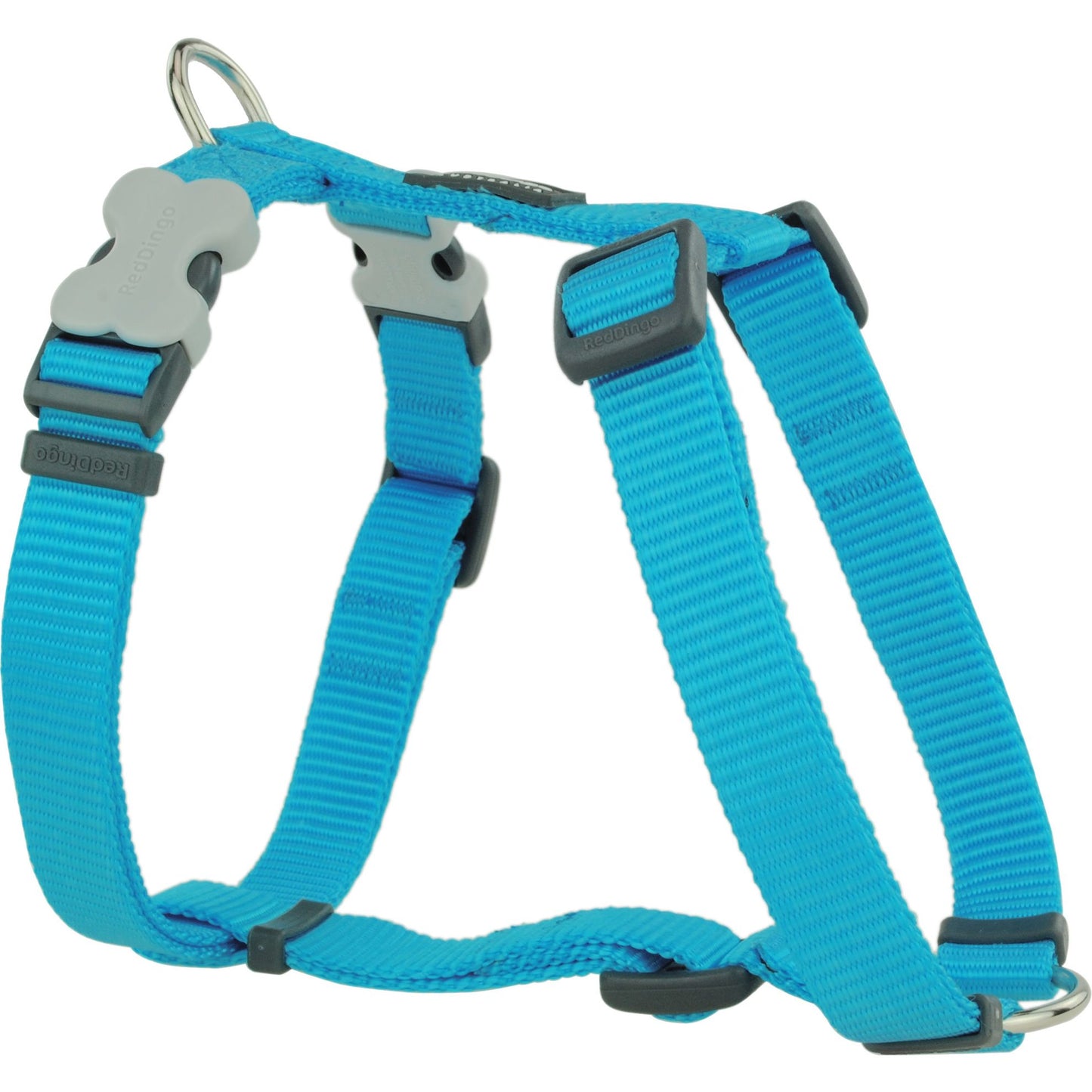 Harnais Turquoise réglable Red Dingo Basic