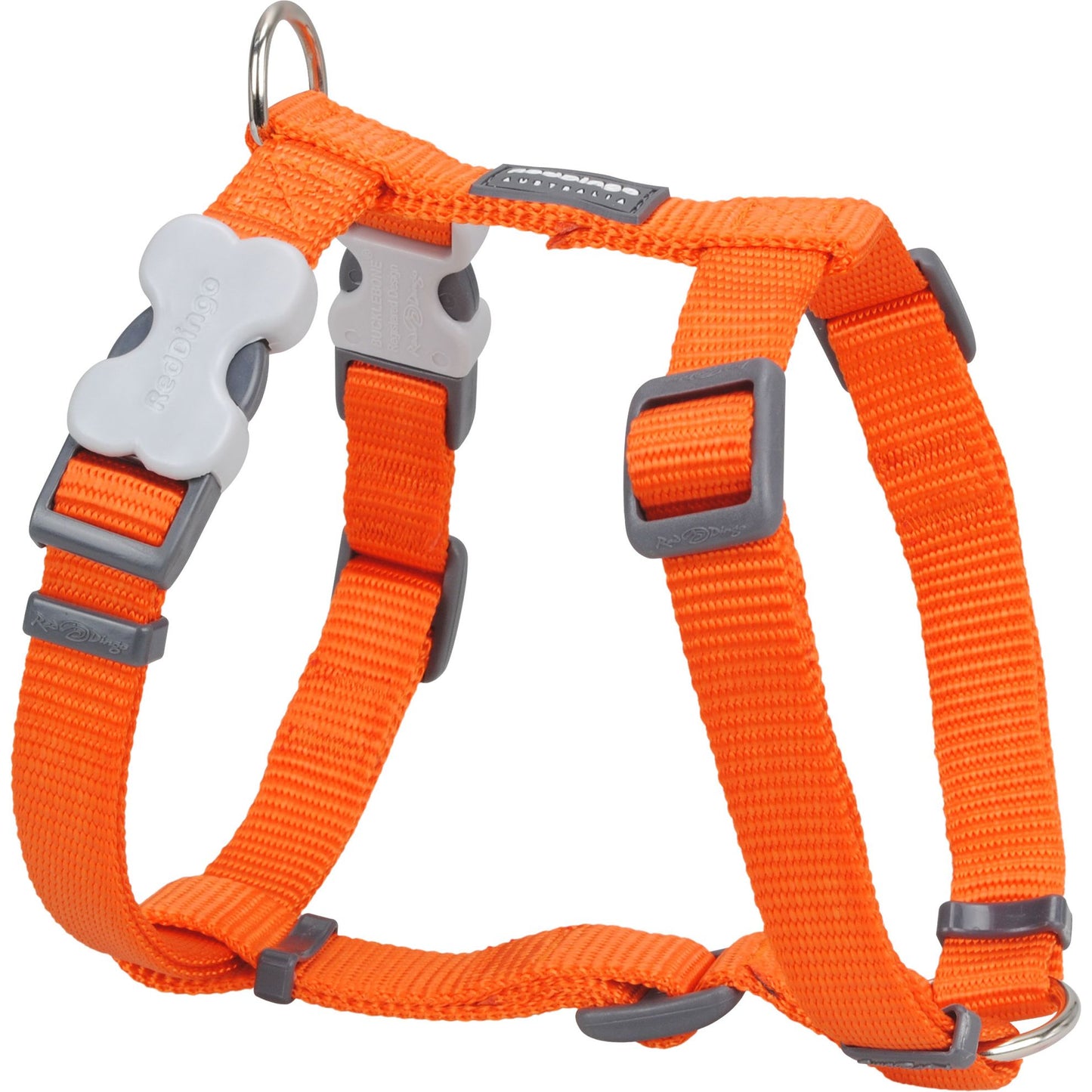 Harnais Orange réglable Red Dingo Basic