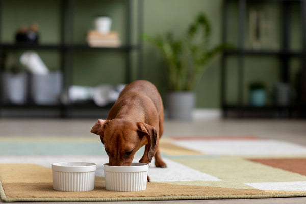 Compléments alimentaire