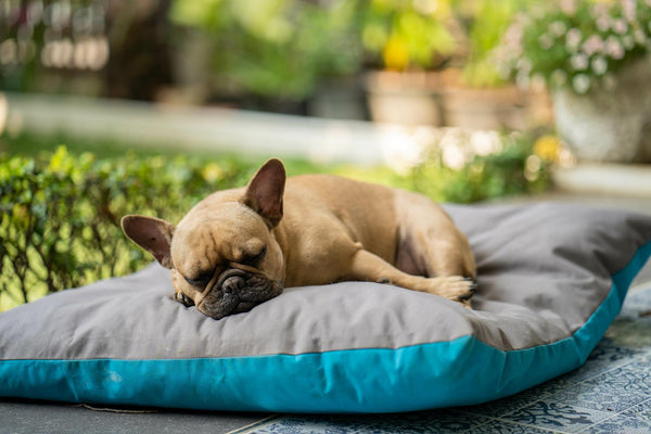 Matelas