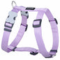 Harnais Rose Pastel réglable Red Dingo Basic