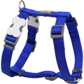 Harnais Bleu réglable Red Dingo Basic