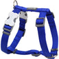 Harnais Bleu réglable Red Dingo Basic