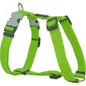 Harnais Vert réglable Red Dingo Basic