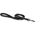 Laisse Noir Simili Cuir Doogy Glam