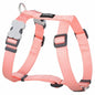 Harnais Orange Pastel réglable Red Dingo Basic
