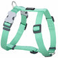Harnais Vert Pastel réglable Red Dingo Basic