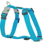 Harnais Turquoise réglable Red Dingo Basic