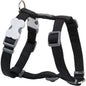 Harnais Noir réglable Red Dingo Basic