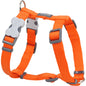 Harnais Orange réglable Red Dingo Basic