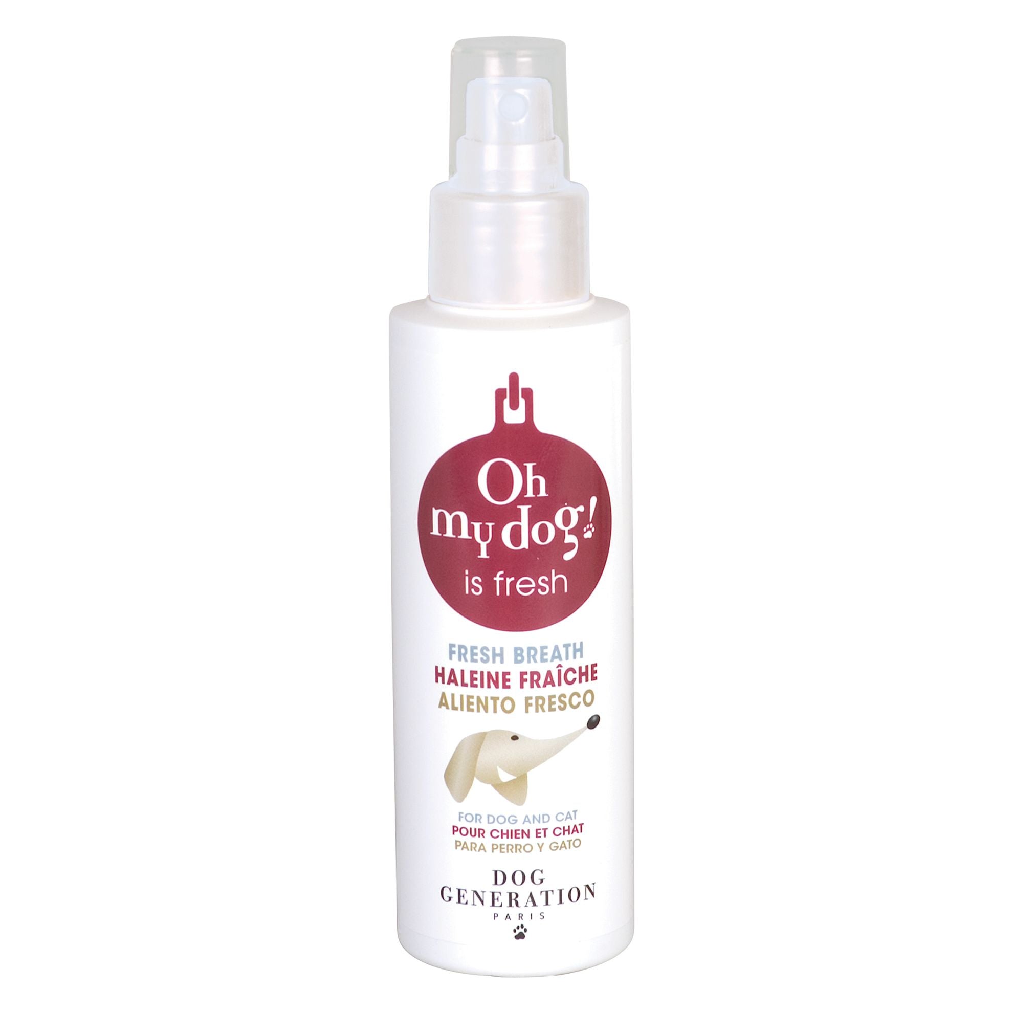 Spray dentifrice