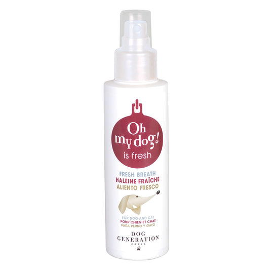 Spray dentifrice